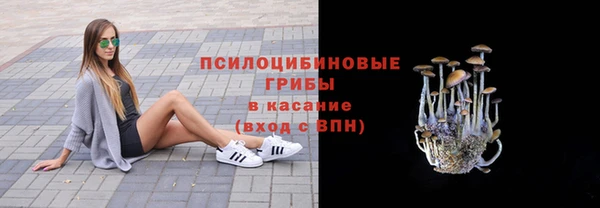 не бодяженный Алзамай