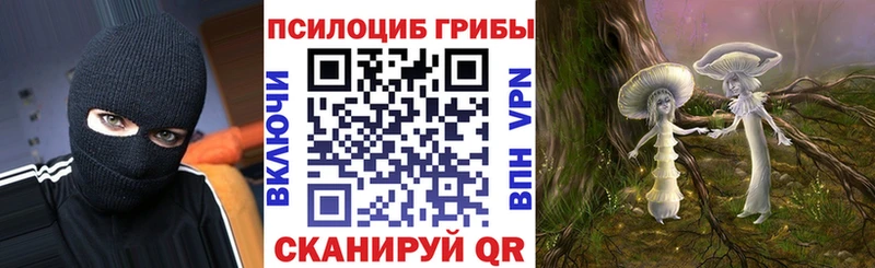 Псилоцибиновые грибы GOLDEN TEACHER  Апрелевка 